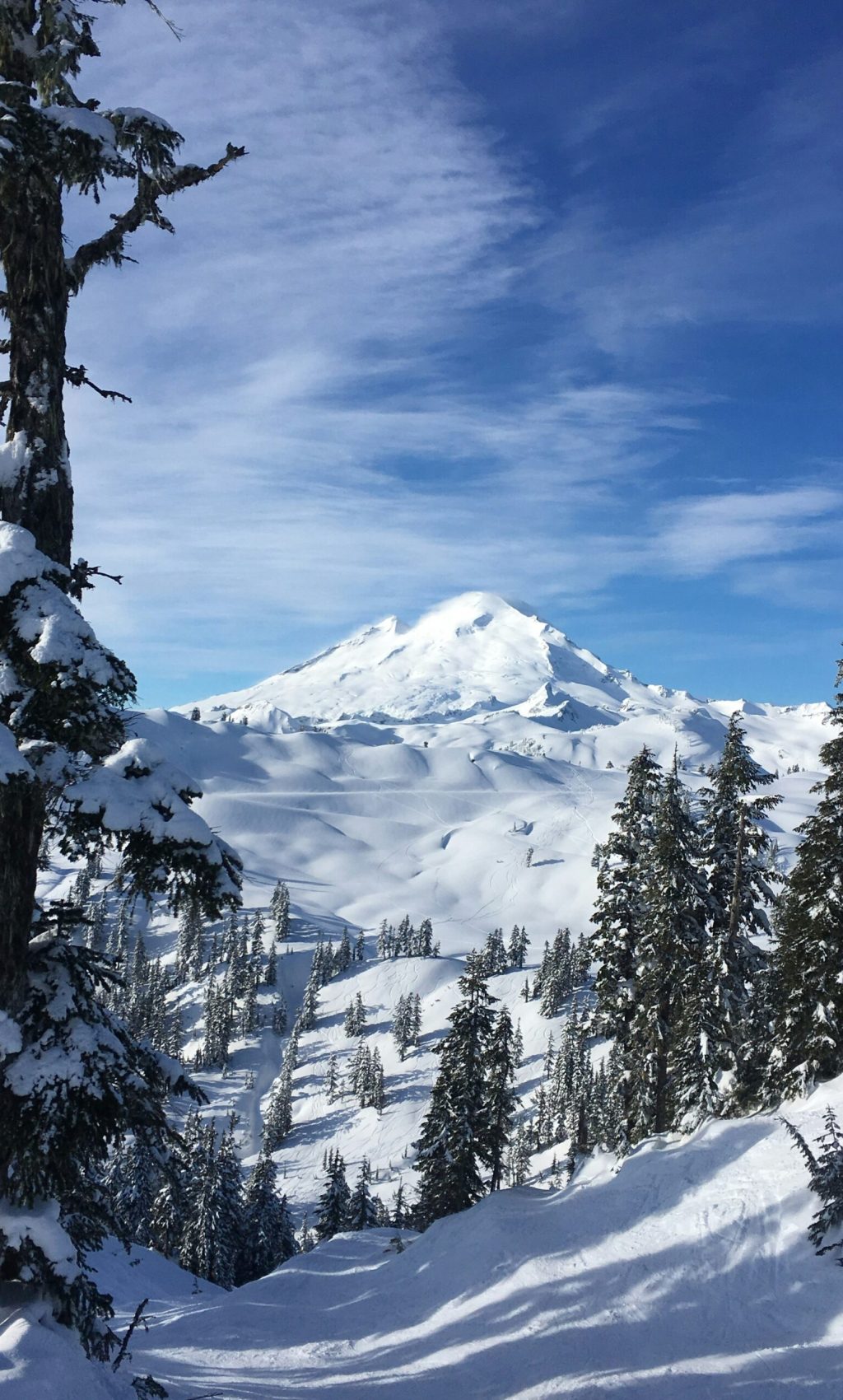 mount baker, washington