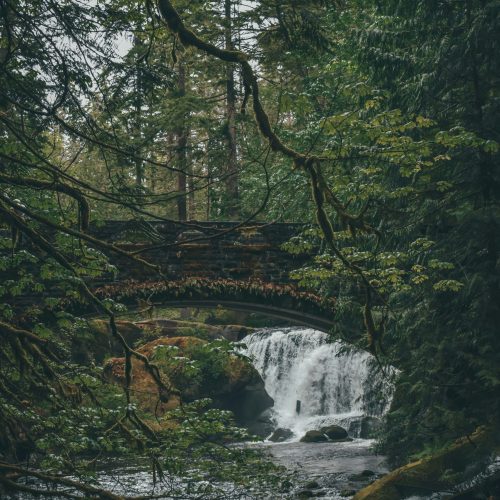 whatcom county washington